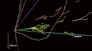 C[W
