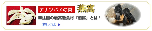 アナツバメの巣燕窩について