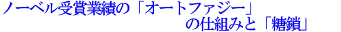 m[x܋Ɛт́uI[gt@W[v̎dg݂Ɓuv