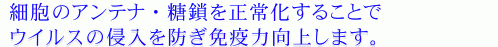 זẼAeiE𐳏퉻邱ƂŃECX̐NhƉu͌サ܂B