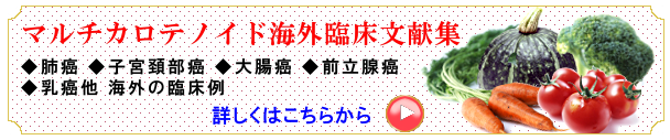 }`JemChCOՏW؁[͂炩@