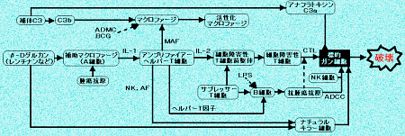 -cOJ̖Ɖu@\p}