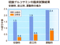 グラフ・硫酸グルコサミンの臨床試験結果
