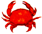 カニ