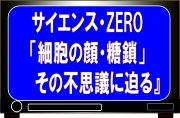 NHK教育テレビ「サイエンス・ZERO」