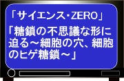 NHK教育テレビ「サイエンス・ZERO」