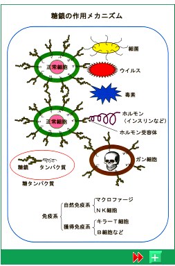 JjY摜